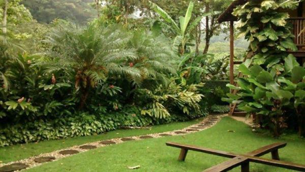 Quintal Da Mata Hotell Camburi  Exteriör bild